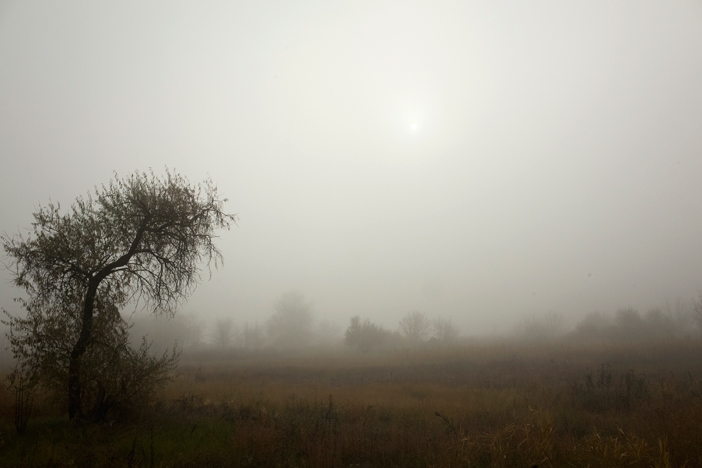 ostukraine-herbst-2019