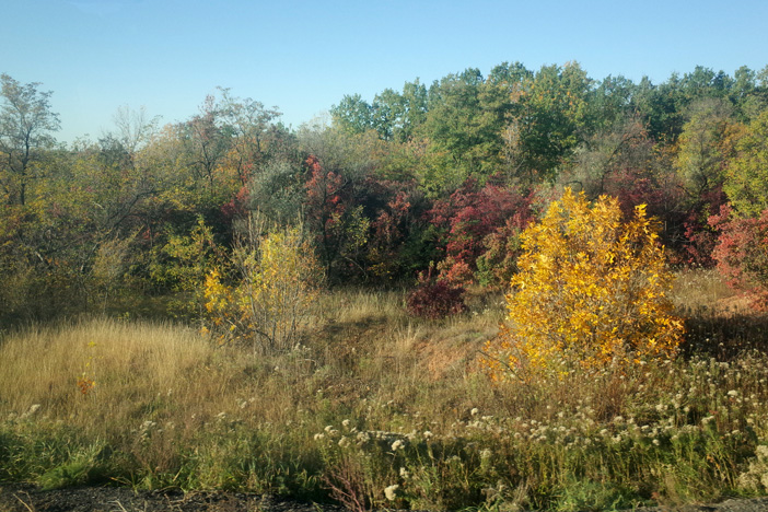 nature-front-line-eastern-ukraine